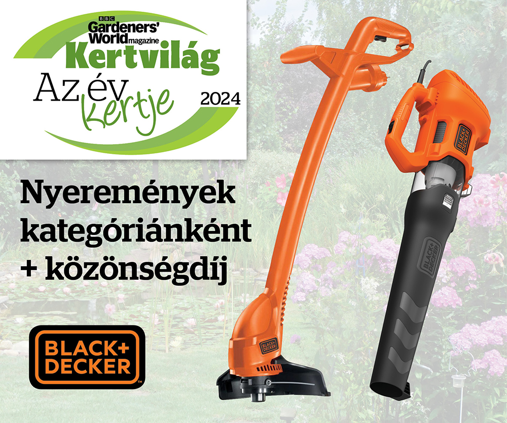 banner BBC_GOTY24 1000.jpg