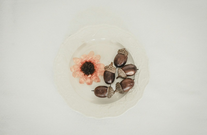 debby-hudson-gSc3QQyfr0g-unsplash (1).jpg