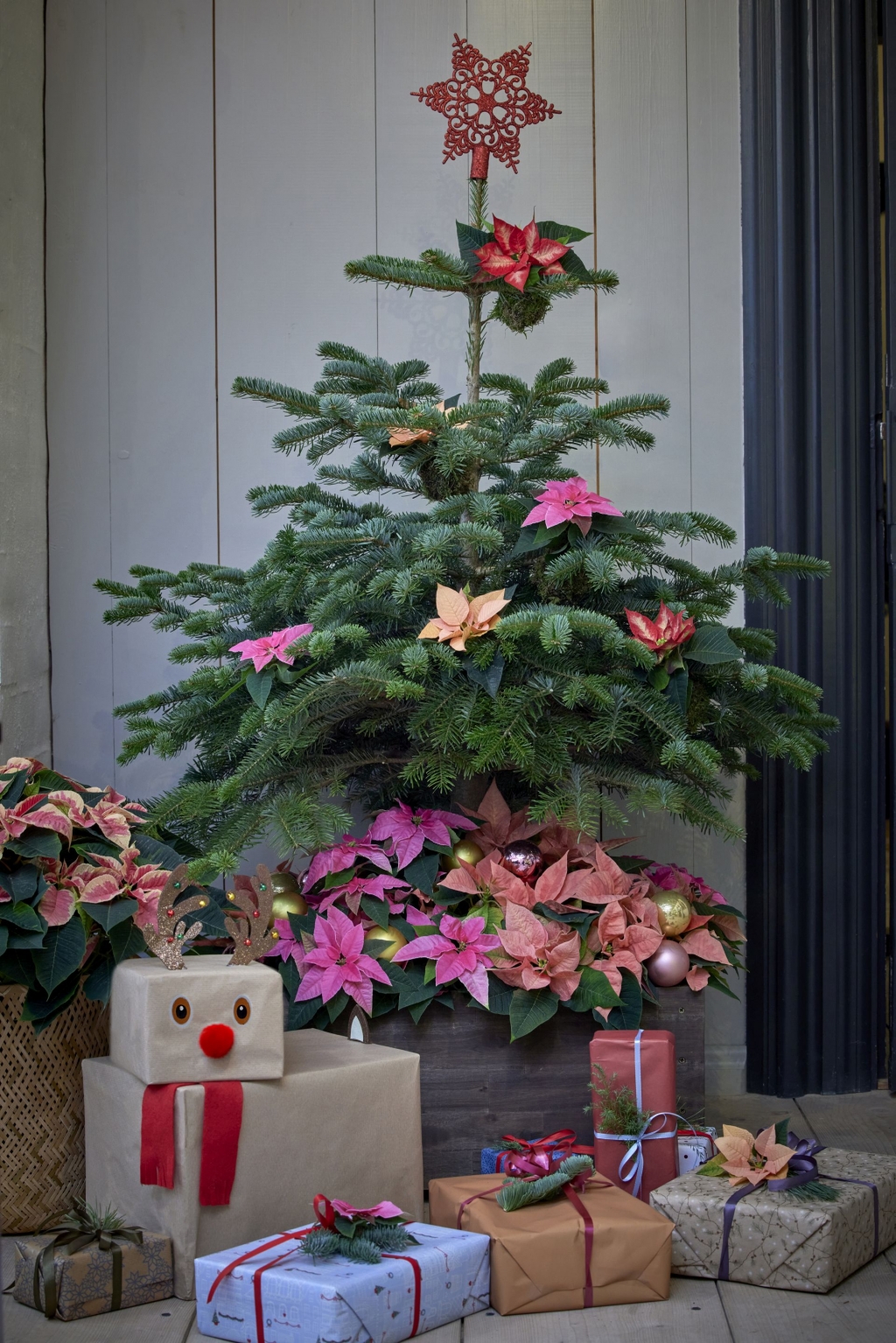 Mikulásvirág dísz a karácsonyfán_1.jpg