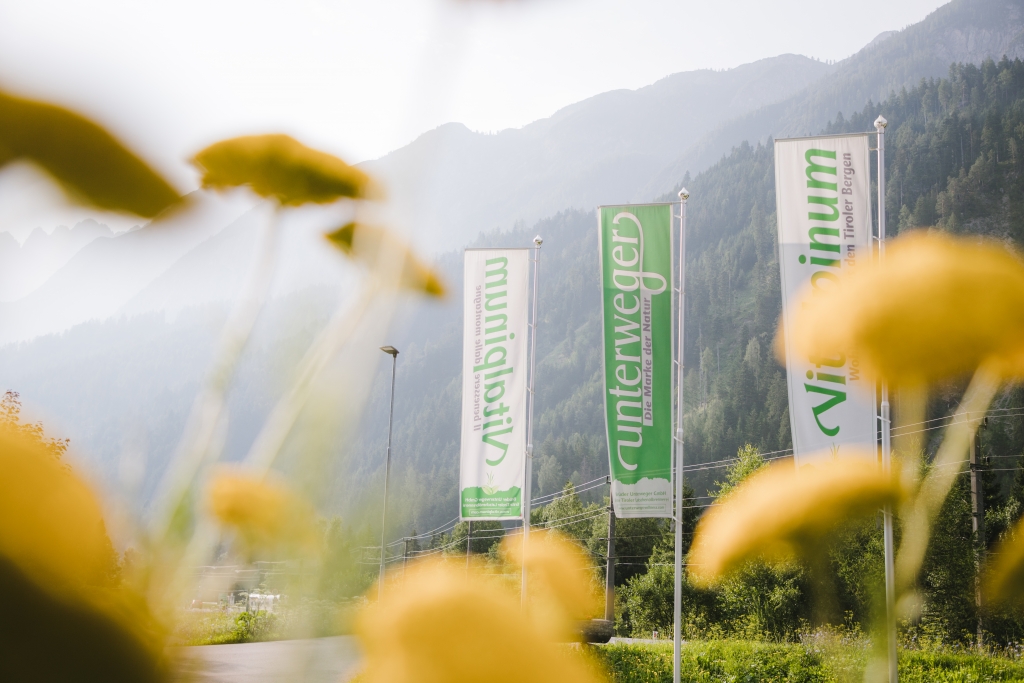 Vitalpinum (c) Elias Bachmann (3).jpg