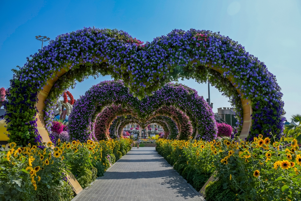 shutterstock_2617653169.jpg