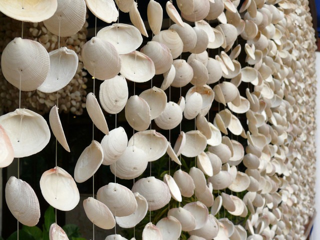 shells-1870_640.jpg