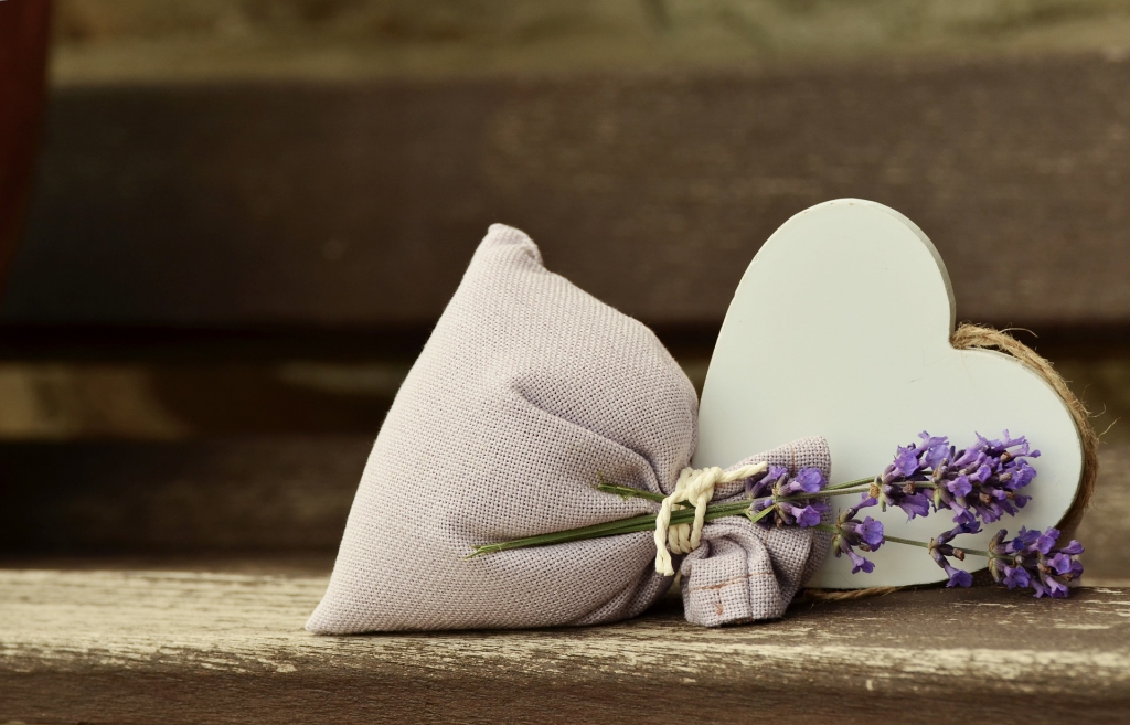lavender-823600_1920.jpg
