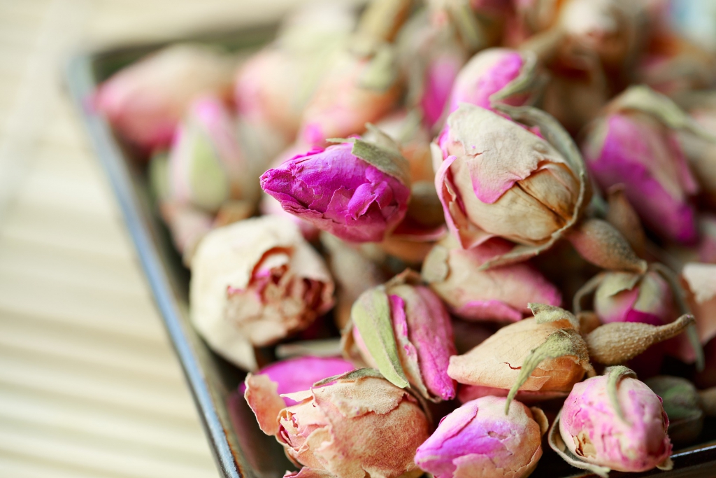 rosebud-2545642_1920.jpg