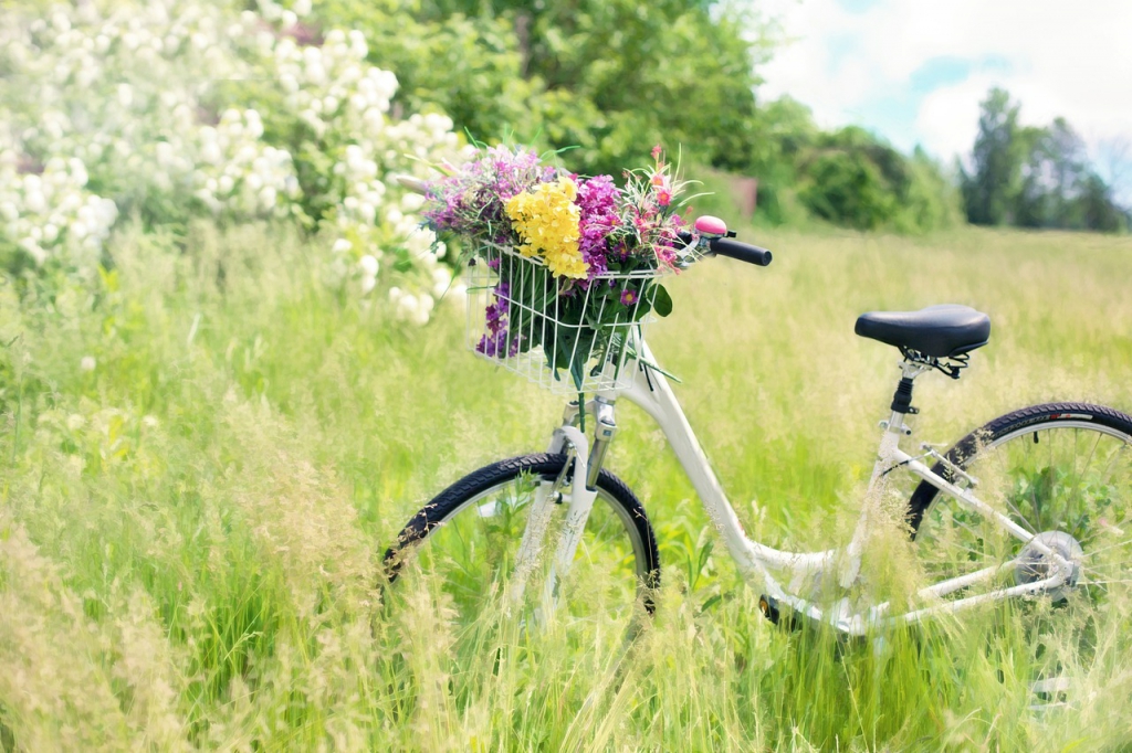 bicycle-gb847b4e63_1280.jpg
