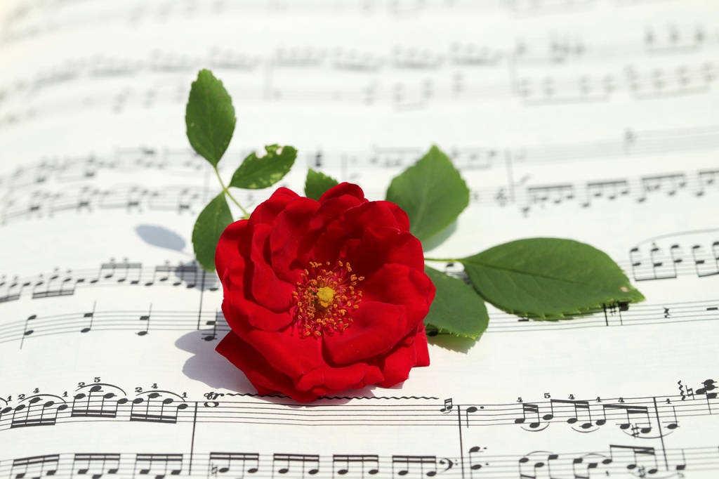 rose-gfd5c6cf3d_1280.jpg