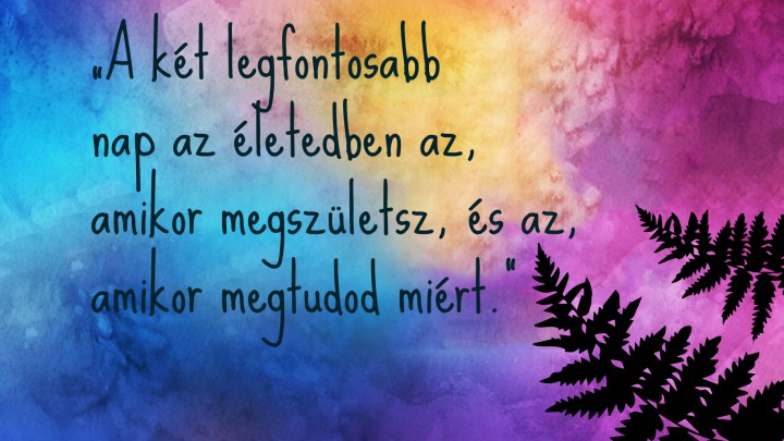 Mark Twain gondolata