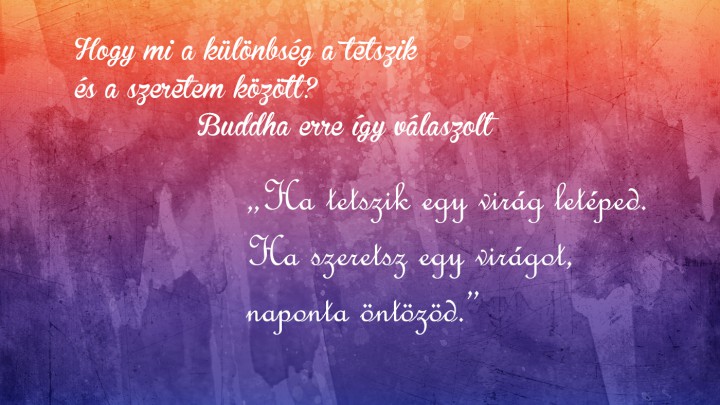 Útravaló Buddhától