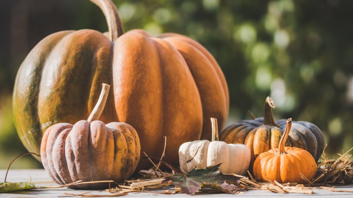 Gyors halloweeni dekoráció, amit ki kell próbálnod idén