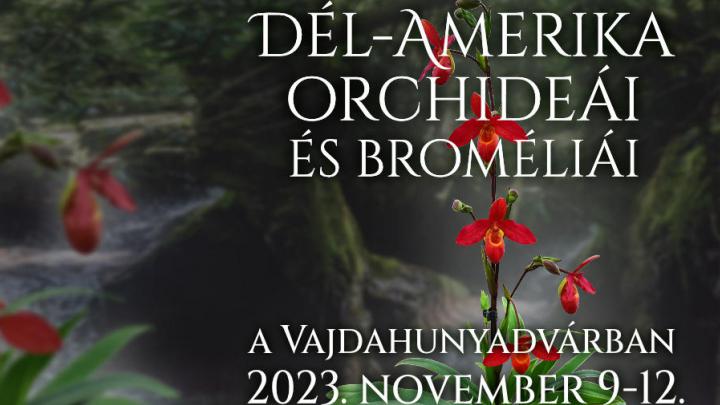 Dél-Amerika orchideái és broméliái a Vajdahunyadvárban