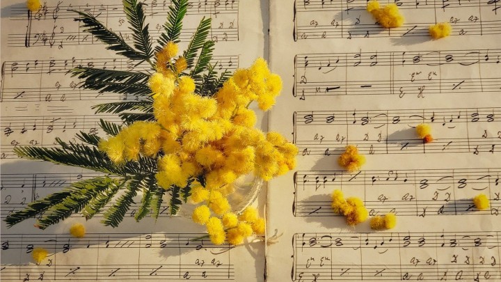 Puccini remeke, a Manon Lescaut a Müpában