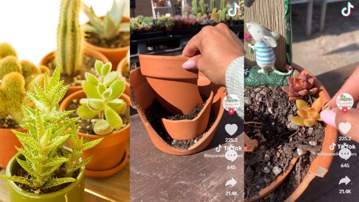 Édes DIY kerti dekor: Törj el egy virágcserepet, hogy tündérkert lehessen belőle!