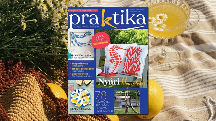 Június 3-án érkezik a Praktika legújabb száma: 78 zseniális DIY ötlet nyárra!