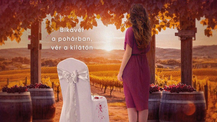 Imádsz krimit olvasni? Megjelent Patkó Ágnes Szekszárdi vörös könyvsorozatának 3. része!