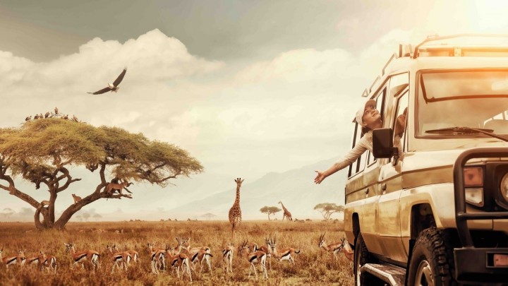 Bakancslistáról Afrikába: közvetlen járatot indít Kenyába az IBUSZ decembertől márciusig