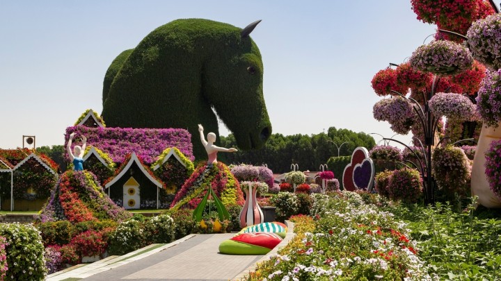 Csodakert a sivatagban: ismerd meg a Dubai Miracle Garden titkait - fotókkal