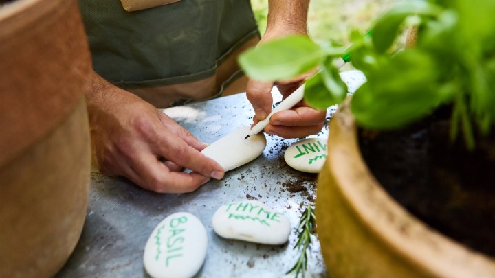 DIY fűszer- és növényjelölők – aranyos, látványos és könnyen elkészíthető ötletek!