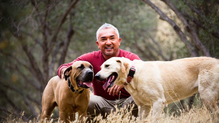 Apa és fiai együtt a színpadon