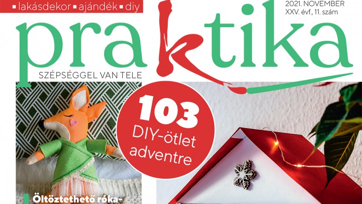 Megjelent a novemberi Praktika magazin