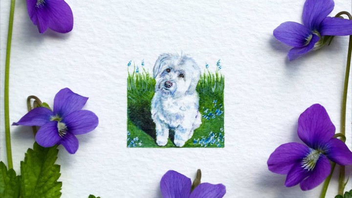Miniatűr illusztrációk, amelyeken csak ámulunk