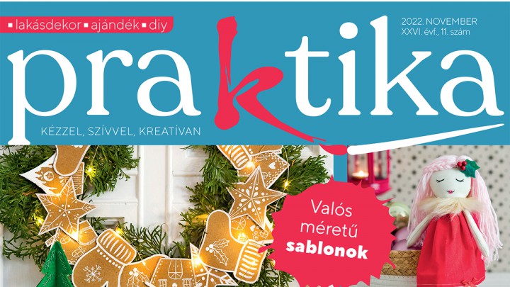 Megjelent a novemberi Praktika magazin