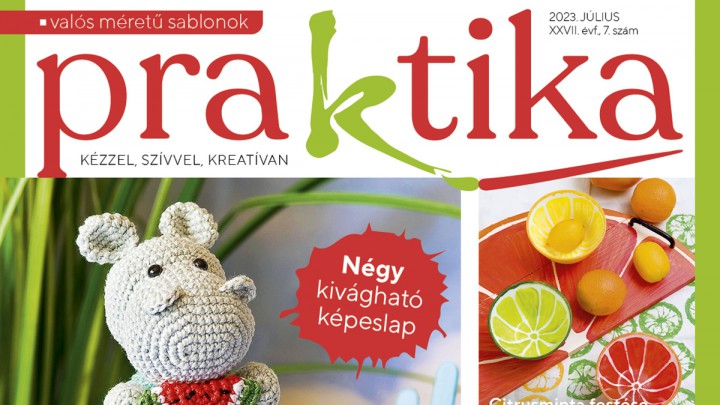 Megjelent a júliusi Praktika magazin