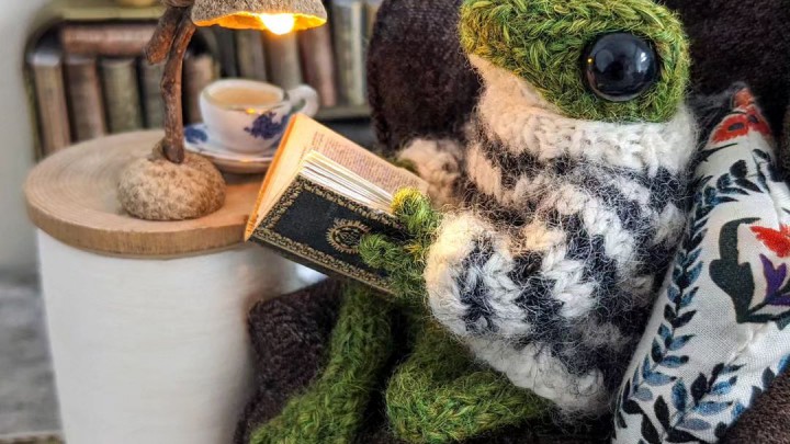Kötött békák izgalmas élete: cukiságok, amiket látnod kell