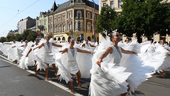 Megválasztották a Debreceni Virágkarnevál idei győztesét